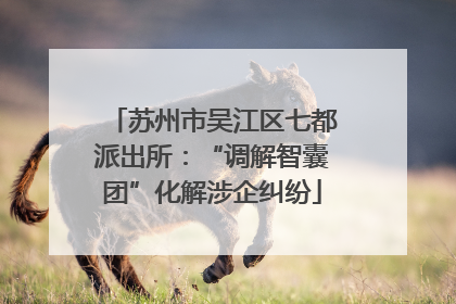 苏州市吴江区七都派出所：“调解智囊团”化解涉企纠纷