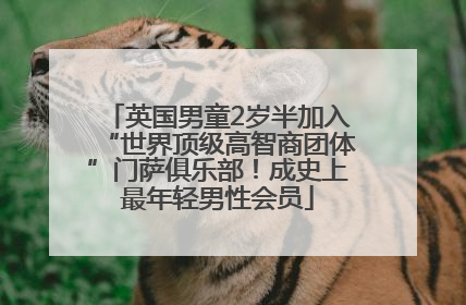 英国男童2岁半加入“世界顶级高智商团体”门萨俱乐部！成史上最年轻男性会员