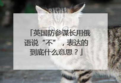 英国防参谋长用俄语说“不”，表达的到底什么意思？