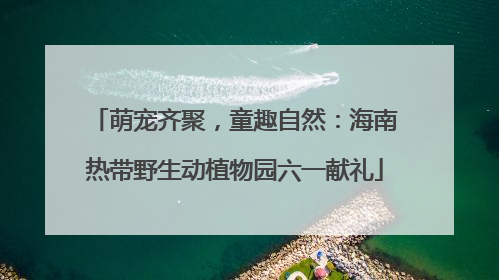萌宠齐聚，童趣自然：海南热带野生动植物园六一献礼