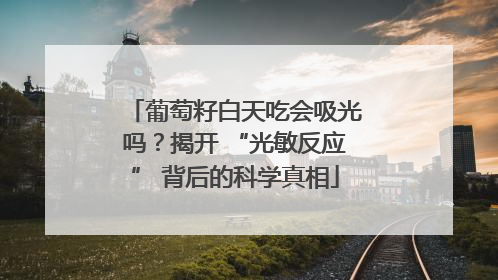 葡萄籽白天吃会吸光吗？揭开 “光敏反应” 背后的科学真相