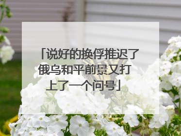 说好的换俘推迟了 俄乌和平前景又打上了一个问号