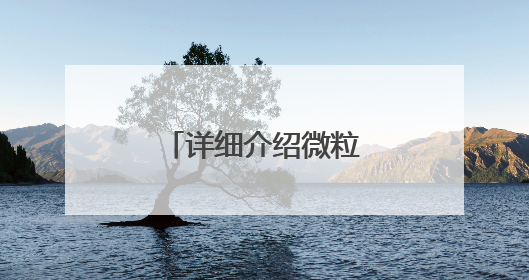 详细介绍微粒贷借钱的开通方式与官方入口
