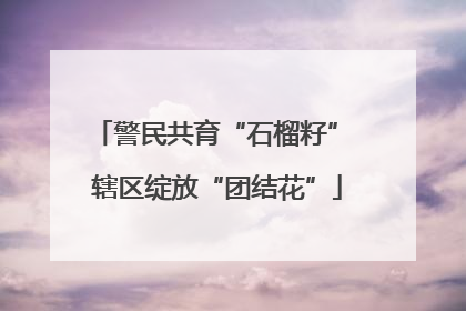警民共育“石榴籽” 辖区绽放“团结花”