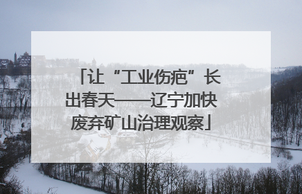 让“工业伤疤”长出春天——辽宁加快废弃矿山治理观察