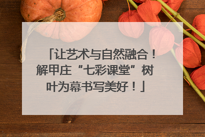 让艺术与自然融合！解甲庄“七彩课堂”树叶为幕书写美好！