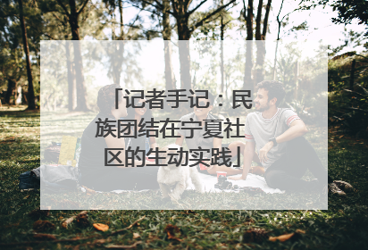 记者手记：民族团结在宁夏社区的生动实践