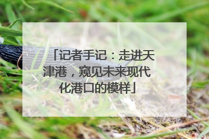 记者手记：走进天津港，窥见未来现代化港口的模样