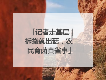 记者走基层｜拆袋就出菇，农民育菌真省事