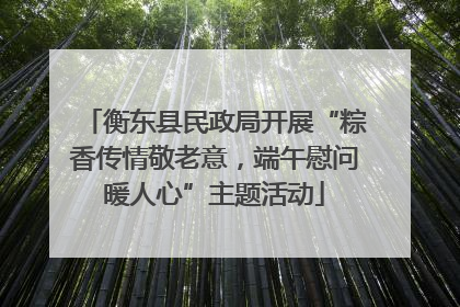 衡东县民政局开展“粽香传情敬老意，端午慰问暖人心”主题活动
