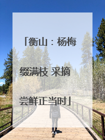 衡山：杨梅缀满枝 采摘尝鲜正当时