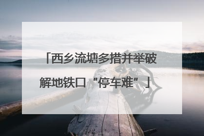 西乡流塘多措并举破解地铁口“停车难”