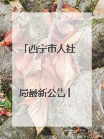 西宁市人社局最新公告