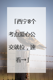 西宁8个考点爱心公交就位，速看→