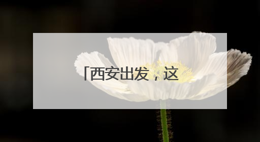 西安出发，这条高速预计通车时间确定！