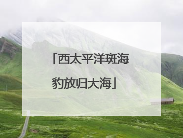 西太平洋斑海豹放归大海