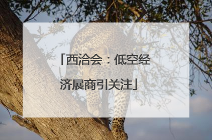 西洽会：低空经济展商引关注