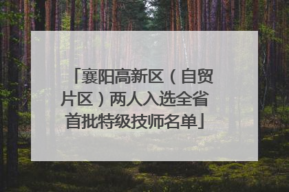 襄阳高新区（自贸片区）两人入选全省首批特级技师名单