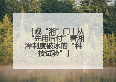 观“湘”门丨从“先用后付”看湘潭制度破冰的“科技试验”