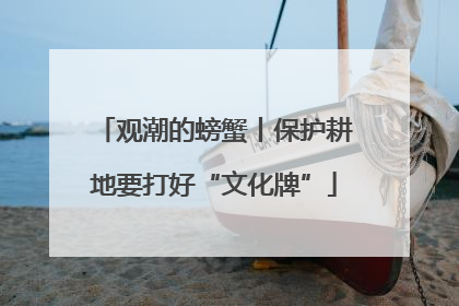 观潮的螃蟹丨保护耕地要打好“文化牌”