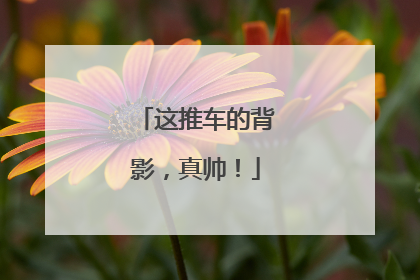 这推车的背影，真帅！