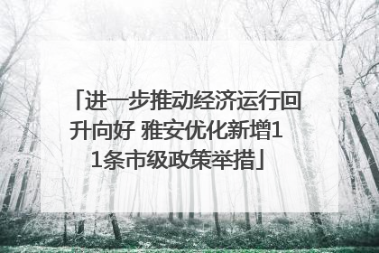 进一步推动经济运行回升向好 雅安优化新增11条市级政策举措