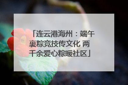 连云港海州：端午裹粽竞技传文化 两千余爱心粽暖社区