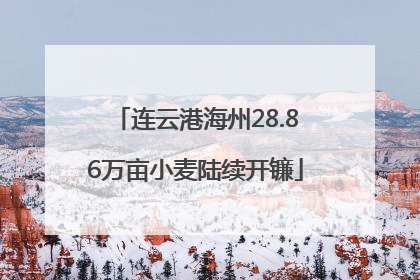 连云港海州28.86万亩小麦陆续开镰