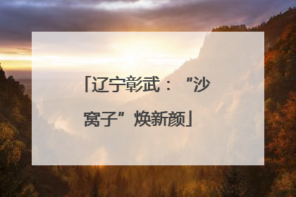 辽宁彰武：“沙窝子”焕新颜