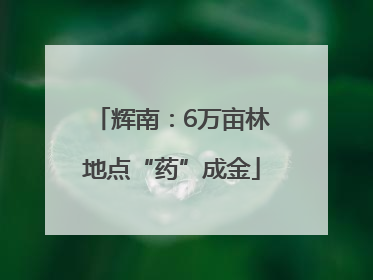 辉南：6万亩林地点“药”成金