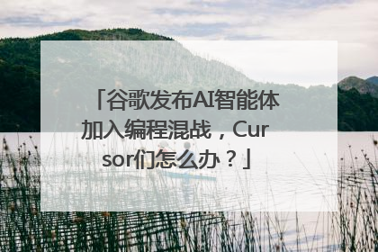 谷歌发布AI智能体加入编程混战，Cursor们怎么办？
