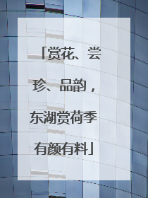 赏花、尝珍、品韵，东湖赏荷季有颜有料