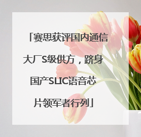 赛思获评国内通信大厂S级供方，跻身国产SLIC语音芯片领军者行列