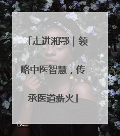 走进湘鄂｜领略中医智慧，传承医道薪火