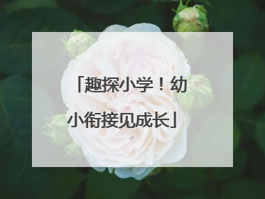 趣探小学！幼小衔接见成长