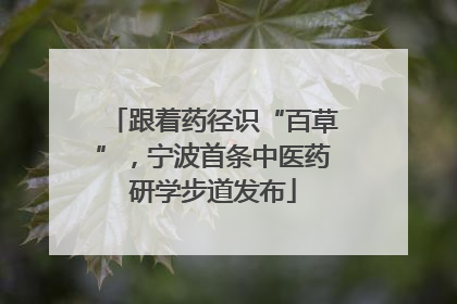 跟着药径识“百草”，宁波首条中医药研学步道发布