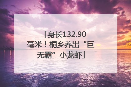 身长132.90毫米！桐乡养出“巨无霸”小龙虾