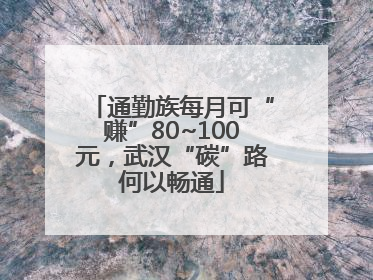 通勤族每月可“赚”80~100元，武汉“碳”路何以畅通