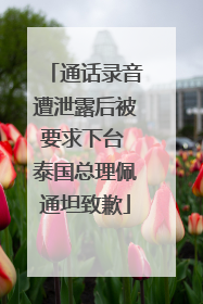 通话录音遭泄露后被要求下台 泰国总理佩通坦致歉