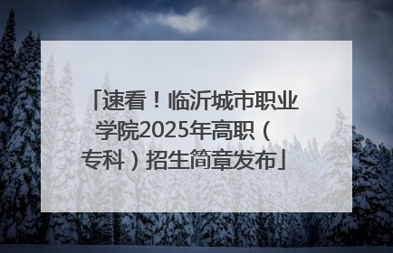速看！临沂城市职业学院2025年高职（专科）招生简章发布