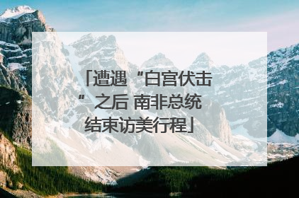 遭遇“白宫伏击”之后 南非总统结束访美行程