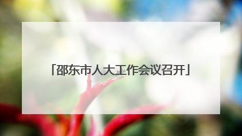 邵东市人大工作会议召开