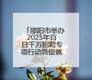 邵阳市举办2025年百日千万招聘专项行动暨促就业“金桥行动”高校毕业生专场招聘会