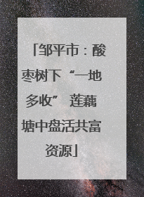 邹平市：酸枣树下“一地多收” 莲藕塘中盘活共富资源