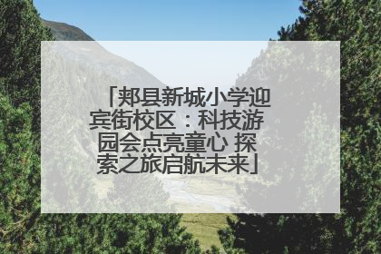 郏县新城小学迎宾街校区：科技游园会点亮童心 探索之旅启航未来