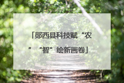 郧西县科技赋“农”“智”绘新画卷