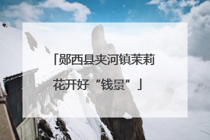 郧西县夹河镇茉莉花开好“钱景”
