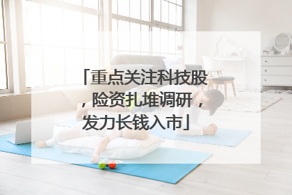 重点关注科技股，险资扎堆调研，发力长钱入市