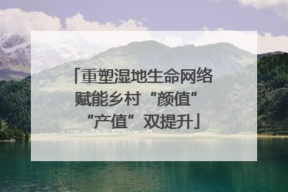 重塑湿地生命网络 赋能乡村“颜值”“产值”双提升