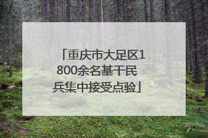 重庆市大足区1800余名基干民兵集中接受点验